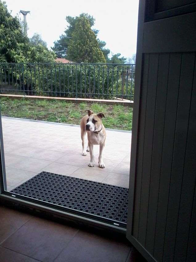 Karlos in campagna 2