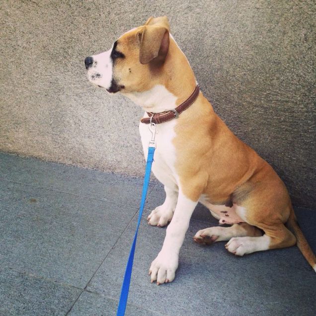 Karlos sei bellissimo