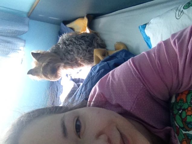 Il risveglio dei leoni