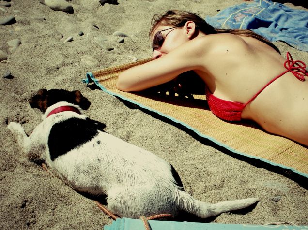 We love summer