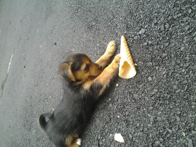 il mio piccolo cono gelato...