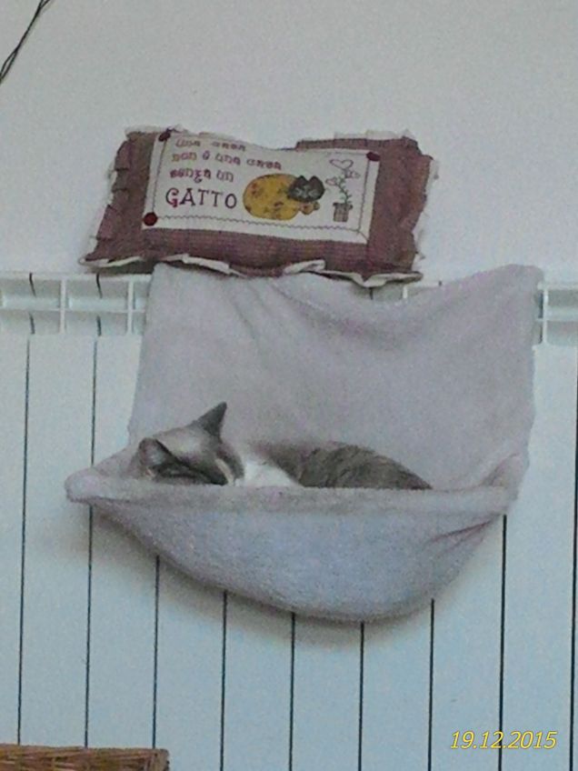 Relax....finché regge l'amaca...