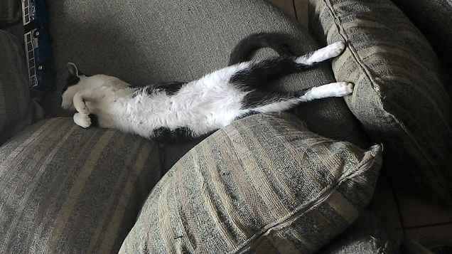 Il sonno del guerriero