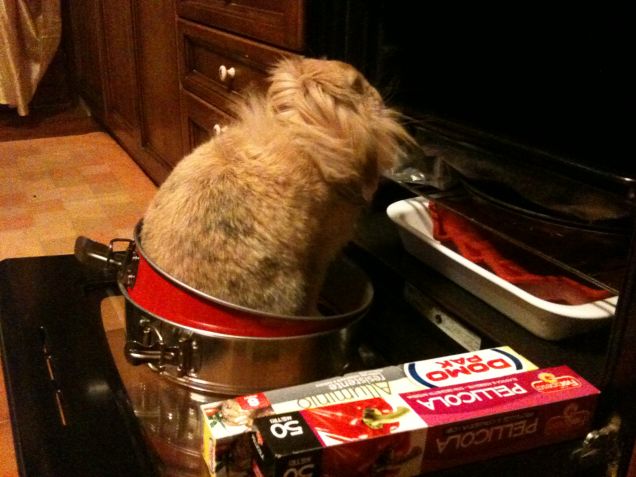 oggi mi sento più dolce del solito 