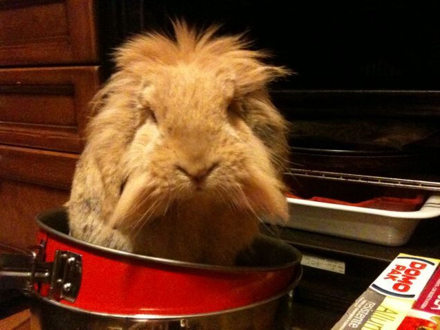 forse è meglio se esco da qui