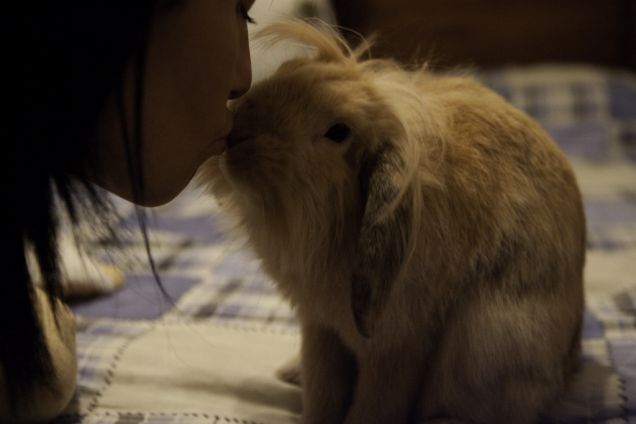 il momento delle coccole