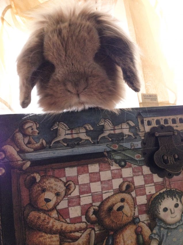 La mia scatola con le pappe