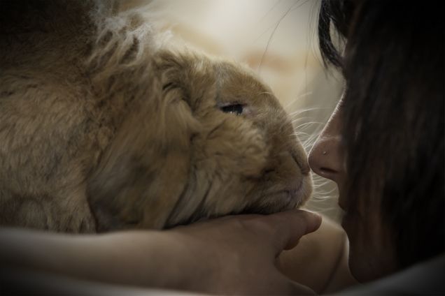 Amore oltre le parole 