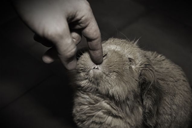 Un bellissimo sorriso