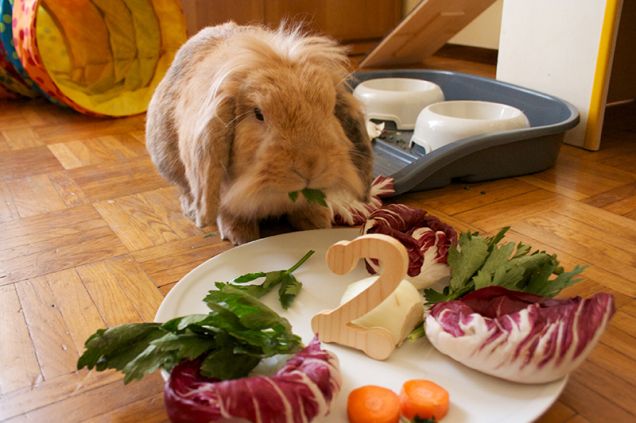 Il mio secondo compleanno 