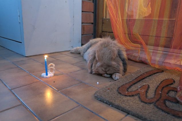 Il mio sesto compleanno 