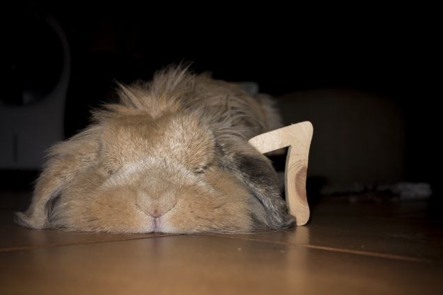 5 agosto - compleanno 