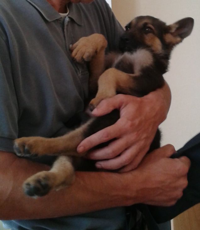 Il mio primo abbraccio con il papà umano...Che emozione !!!!