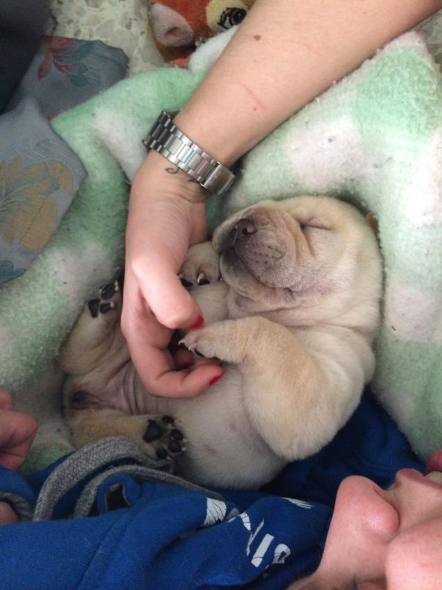 E' l'ora delle coccole!