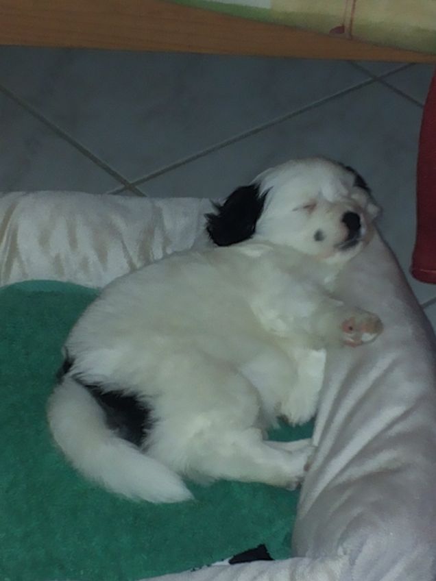 Charlie