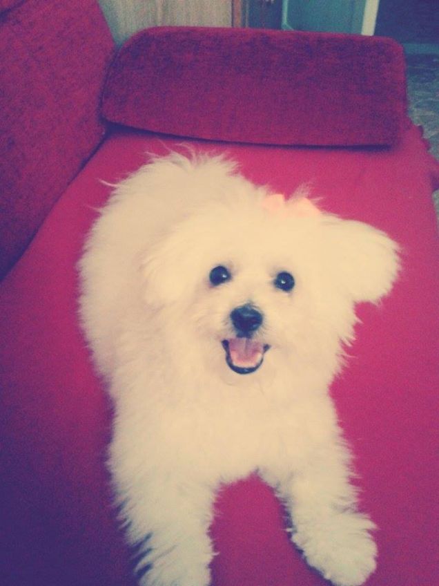Smile