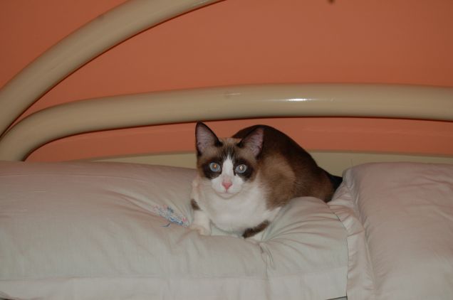 adesso sono stanca ,mi riposo