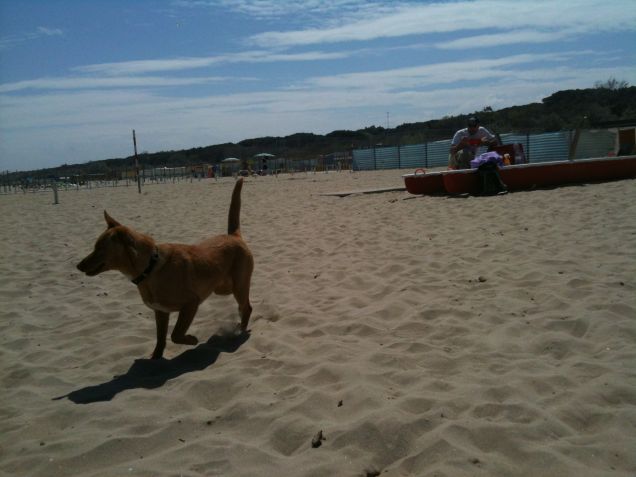 Al Mare