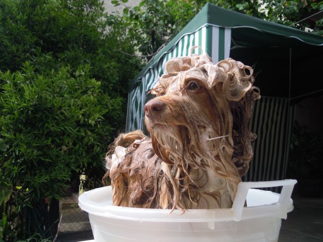 Lady fa il bagnetto!