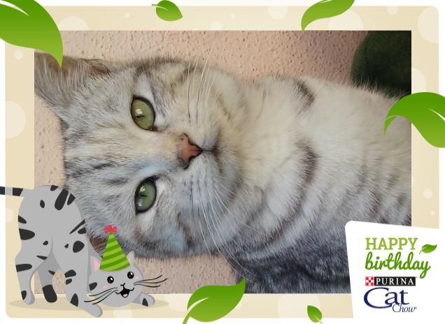 Sono Pronta Eccomi!!