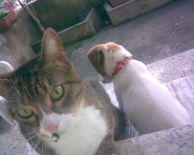 Con il mio cucciolone miki =(=(