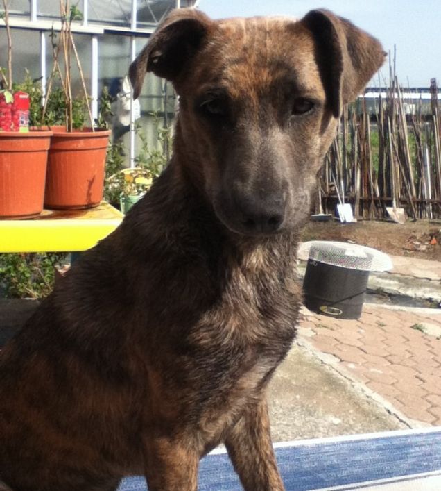 Sole dopo il bagnetto.