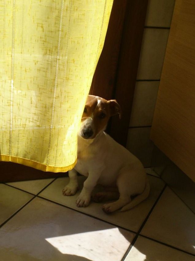 Rio gioca a nascondersi