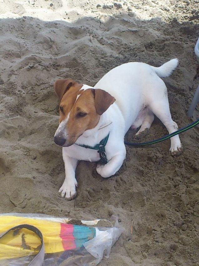 Rio sotto l'ombrellone