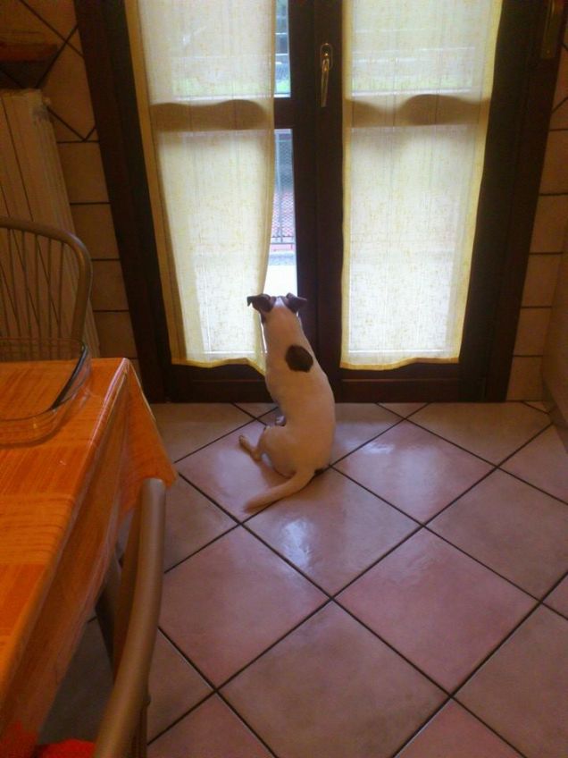 Rio guarda dalla finestra....