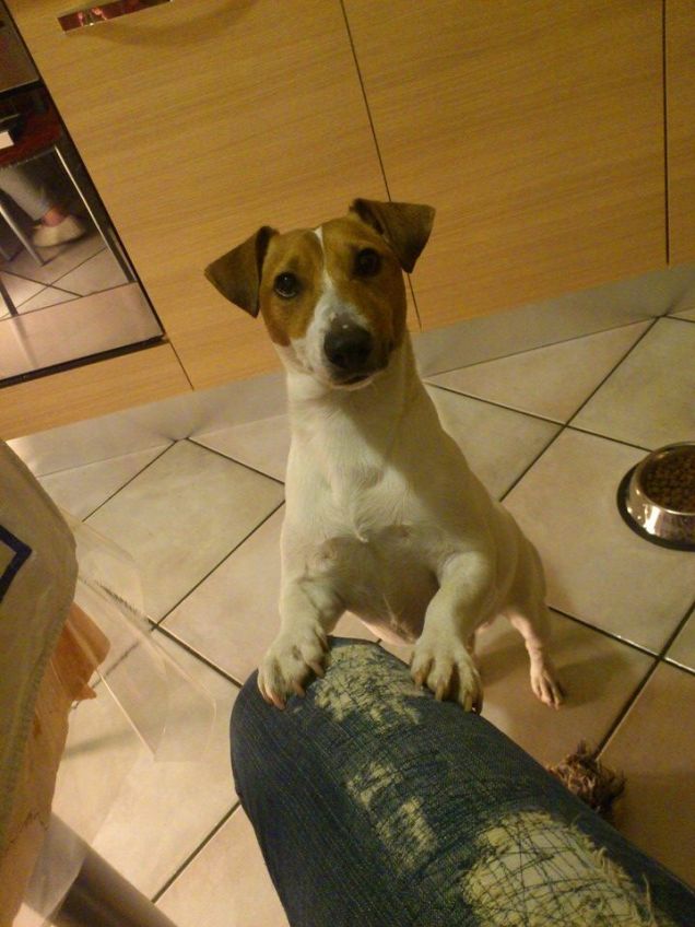 Rio vuole giocare....