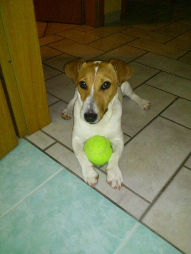 La palla non la mollo