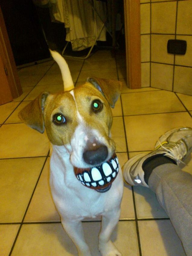 Rio è simpaticissimo