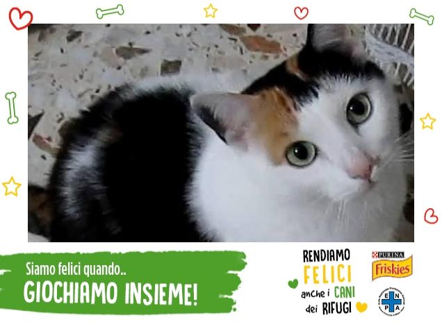 Mi basta guardarla per essere felice