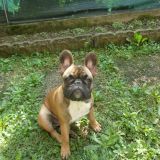 Alessia