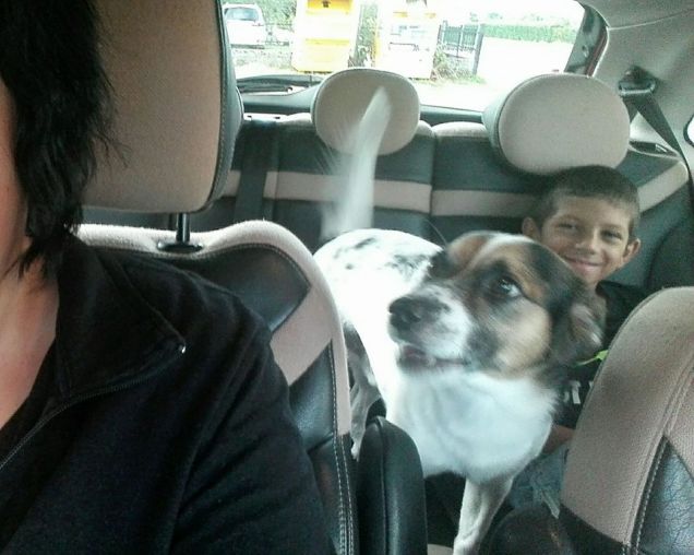 Willie sempre con noi