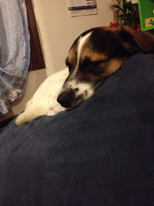 Willie da grande  :-)