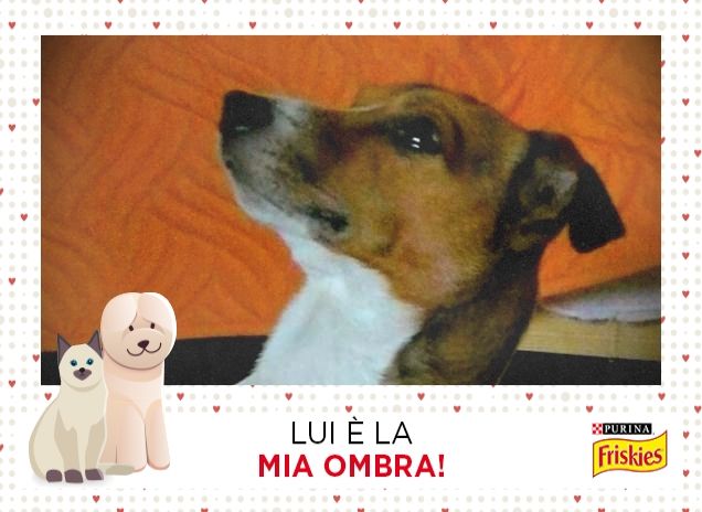 tre metri sopra il cielo...