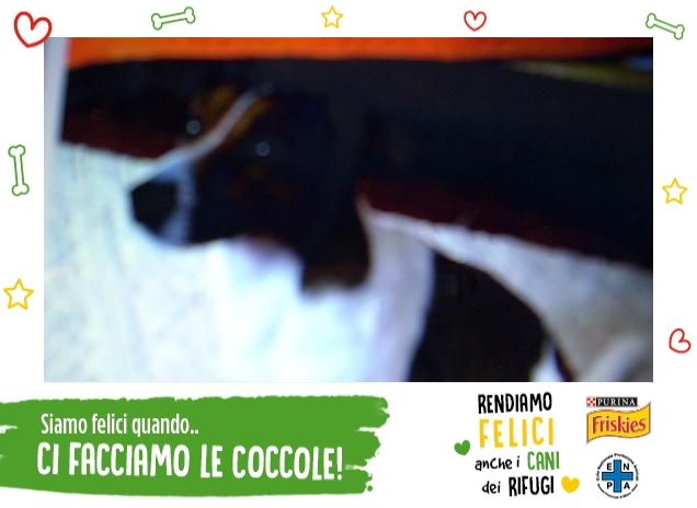 ti osservo da lontano...