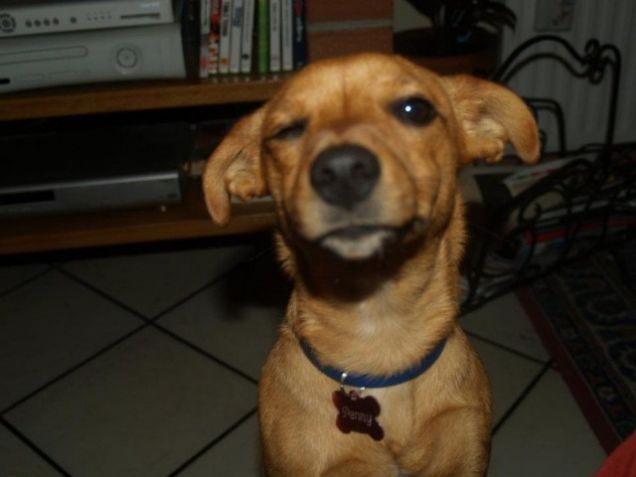 Penny fa l'occhiolino