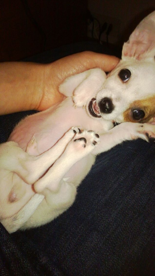 Charlie
