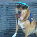 Napoli tra il Mare e i parchi 