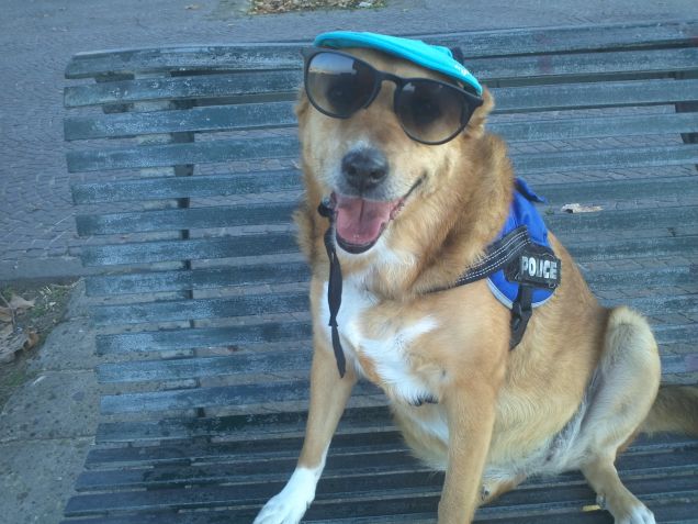 Stella Baren al Mare 