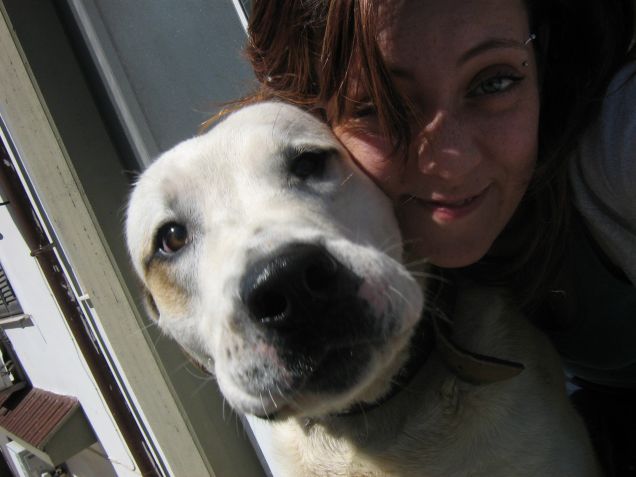 il mio gigante buono