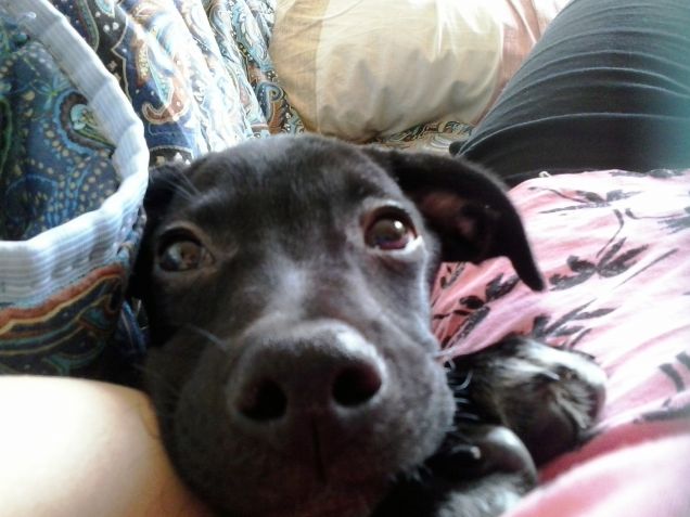 Lillo appena sveglio!