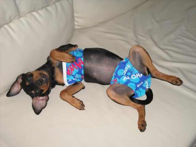 Mi preparo per andare al mare