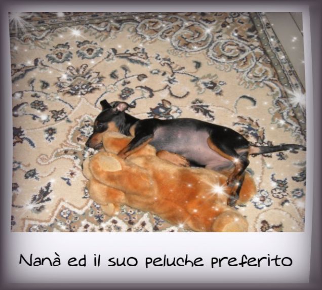 Abbracciata al suo peluche preferito