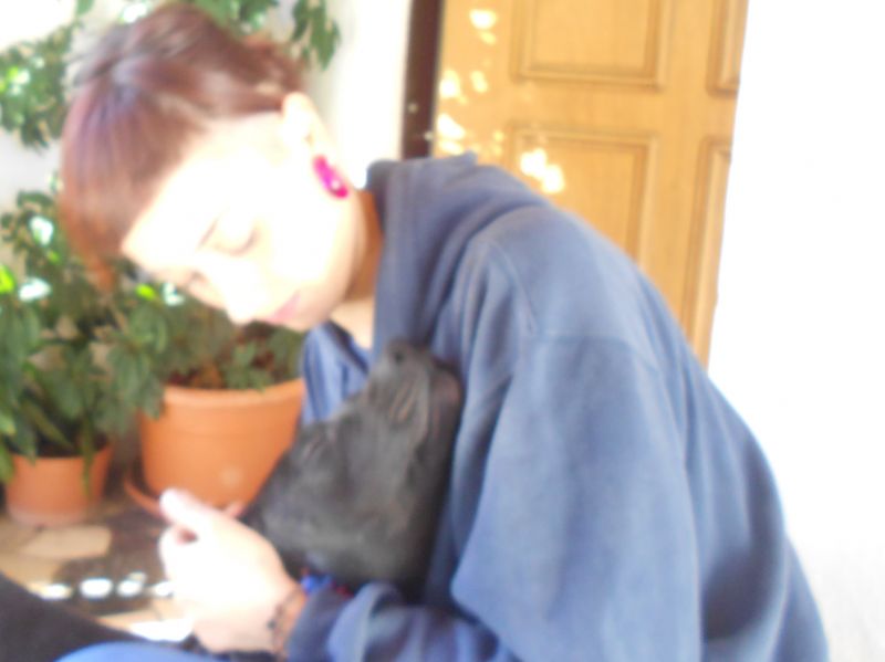 Cedesi solo a interessati!