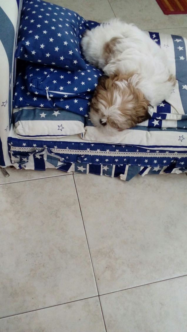 si fanno le ninne...