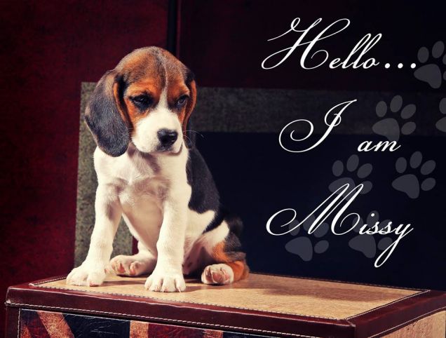 Missy
