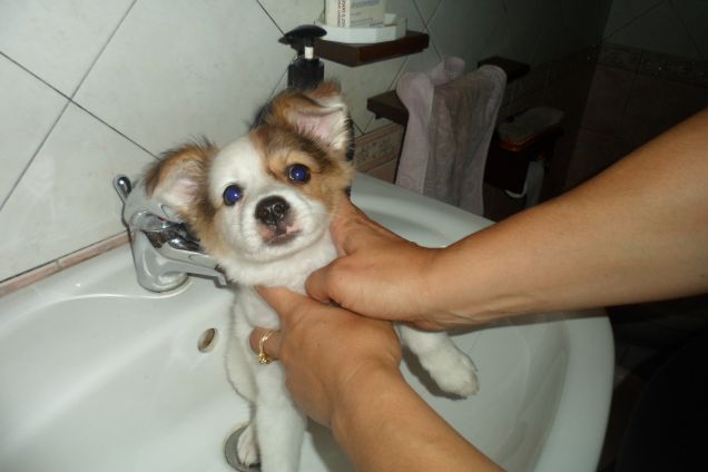 si salvi chi puooooo' !!!!!   